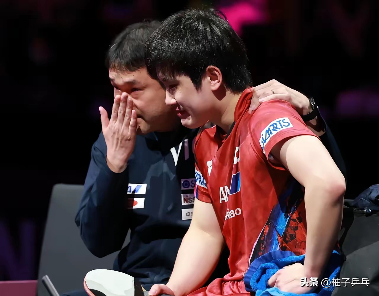 法国队轻取韩国队,张本智和统治全场的简单介绍 法国队轻取韩国队,张本智和统治全场的简单介绍